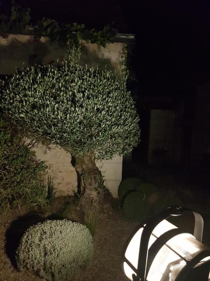 Azay-sur-Cher Le Clos Falaw מראה חיצוני תמונה